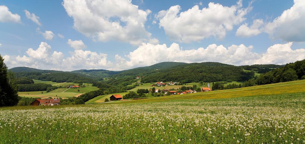 Landgut Stetter Schöllnach Exterior foto