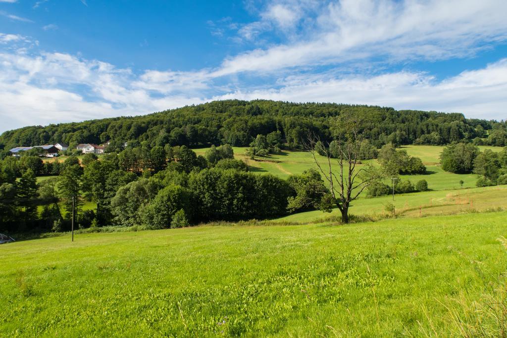 Landgut Stetter Schöllnach Exterior foto